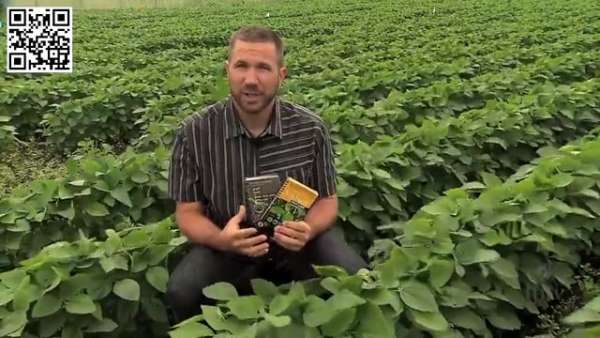 Managing plant pathogens using integrated pest management (IPM)