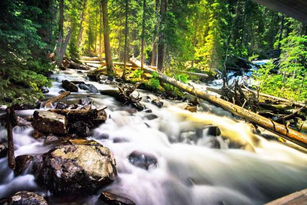 Environmental science and natural resources