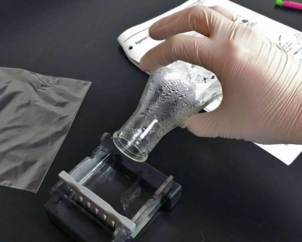 Gel electrophoresis basics