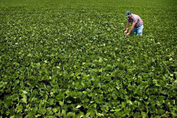 Hula hoop math: yield prediction
