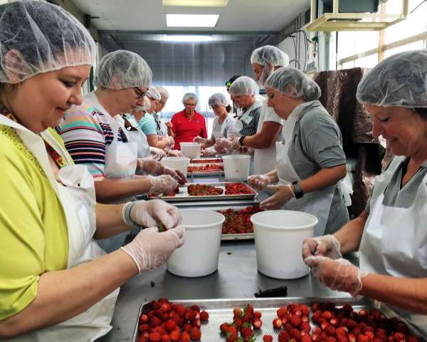 Experience Food Science: Field to Package