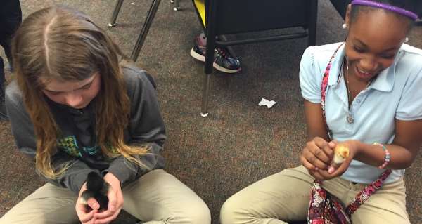 A favorite part of 4th grade