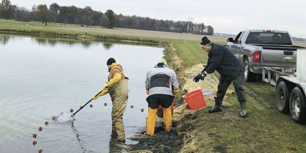 A look at Ohio’s aquaculture industry