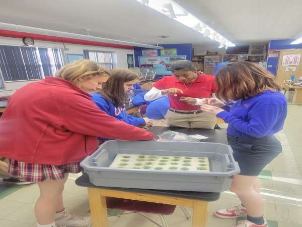 Aquaponics update #2