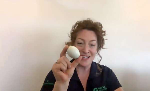 ChickQuest Adventures deliver home learning