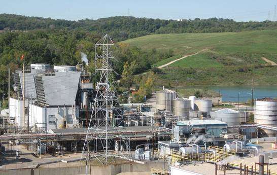 Company pleased with high oleic innovations