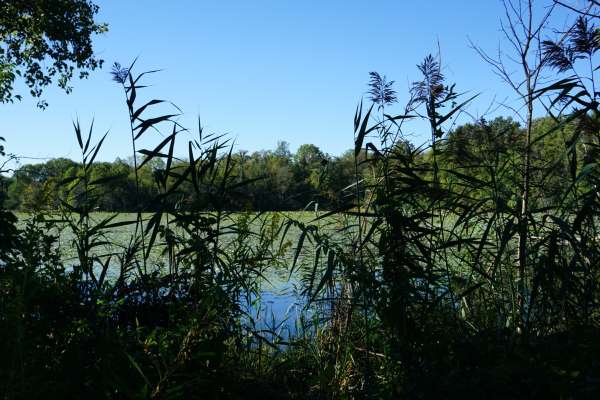 Educating others about improving water quality
