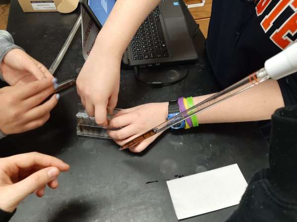 Got Protein? BioRad in Bexley