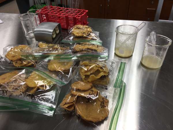 High oleic oil: what and why