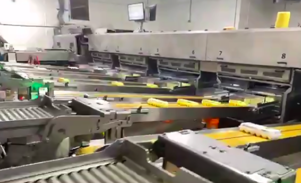 How eggs get to the table!