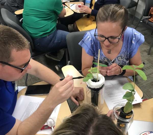 It’s a bug’s life!