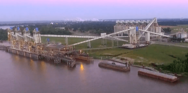 Learn about managing grain exports