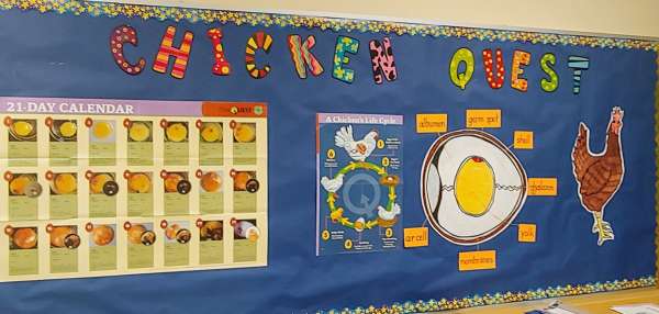 Leawood’s life cycles