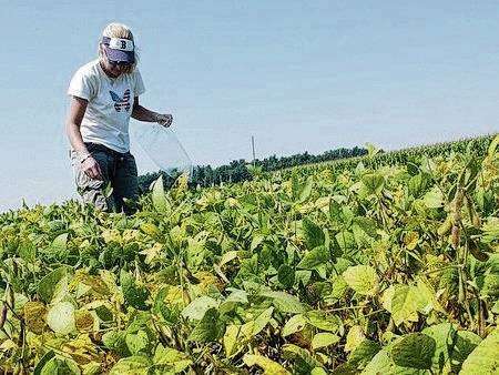 Looking for science project ideas?