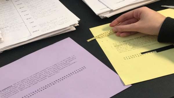 Restriction enzyme activity removes confusion
