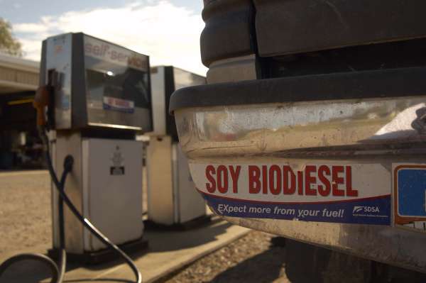 “Soybeans as an energy feedstock”