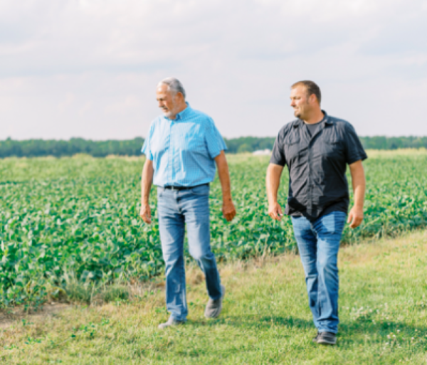 Summer externship: Kellogg Farms