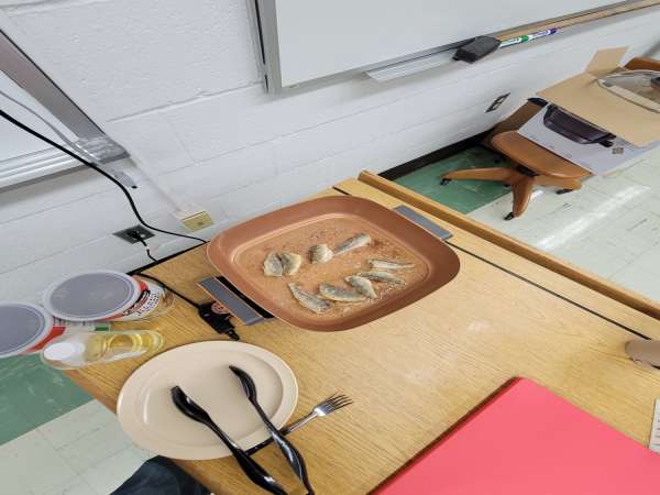 The end of the aquaculture project….