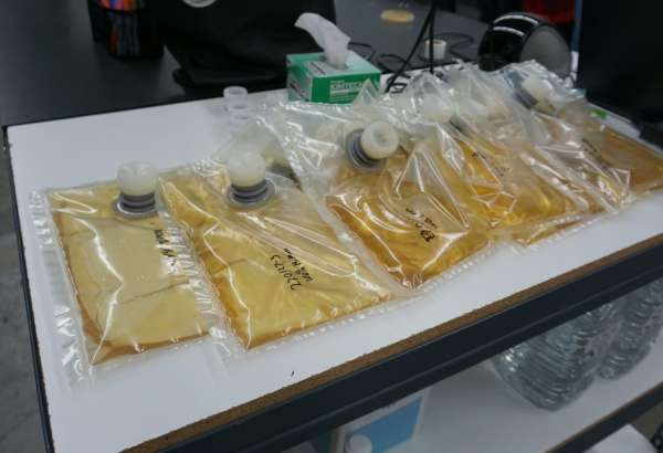 They’re alive! Microbe manufacturing