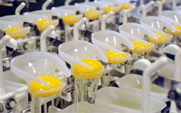 We’re cracking up! Liquid eggs webinar