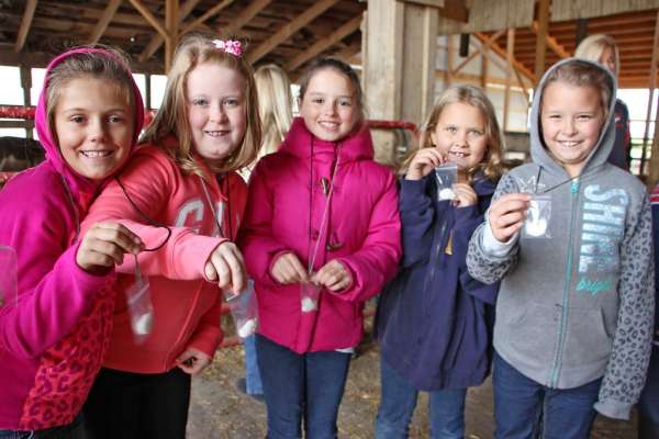 What does a seed need to grow?