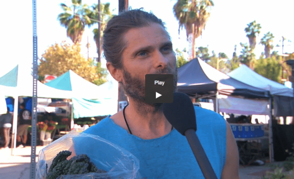 “What does GMO stand for?”