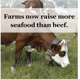 When you think farming, think AQUACULTURE!