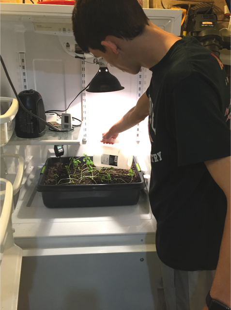 Nutrients in Glycine max amidst Temperature Increase