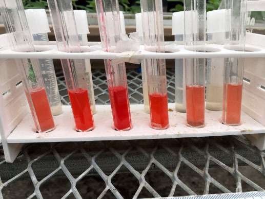 Soil compaction and fertilizer run-off in soybean crop