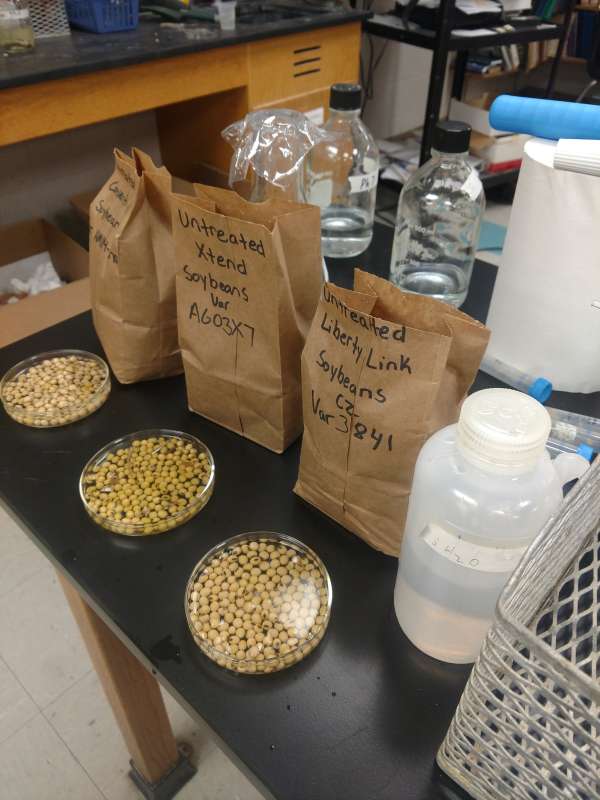Soybean Peroxidase 2018