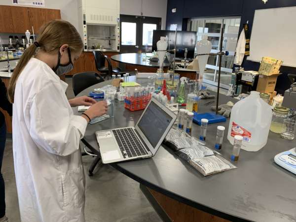 The effect of soil minerals on root nodulation